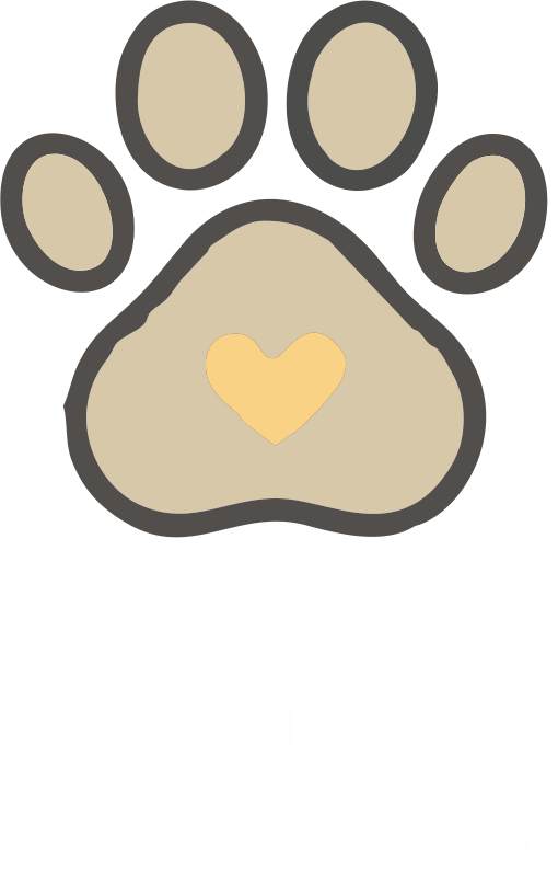 animali ammessi all' hotel santo stefano arezzo a pieve santo stefano